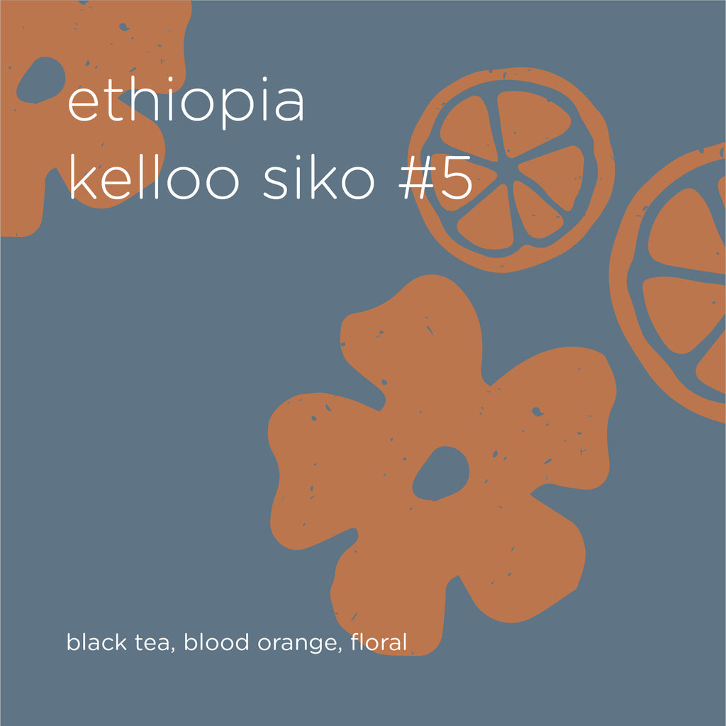 The Roast Things ETHIOPIA KELLOO SIKO #5 – specialty coffee beans Malaysia
