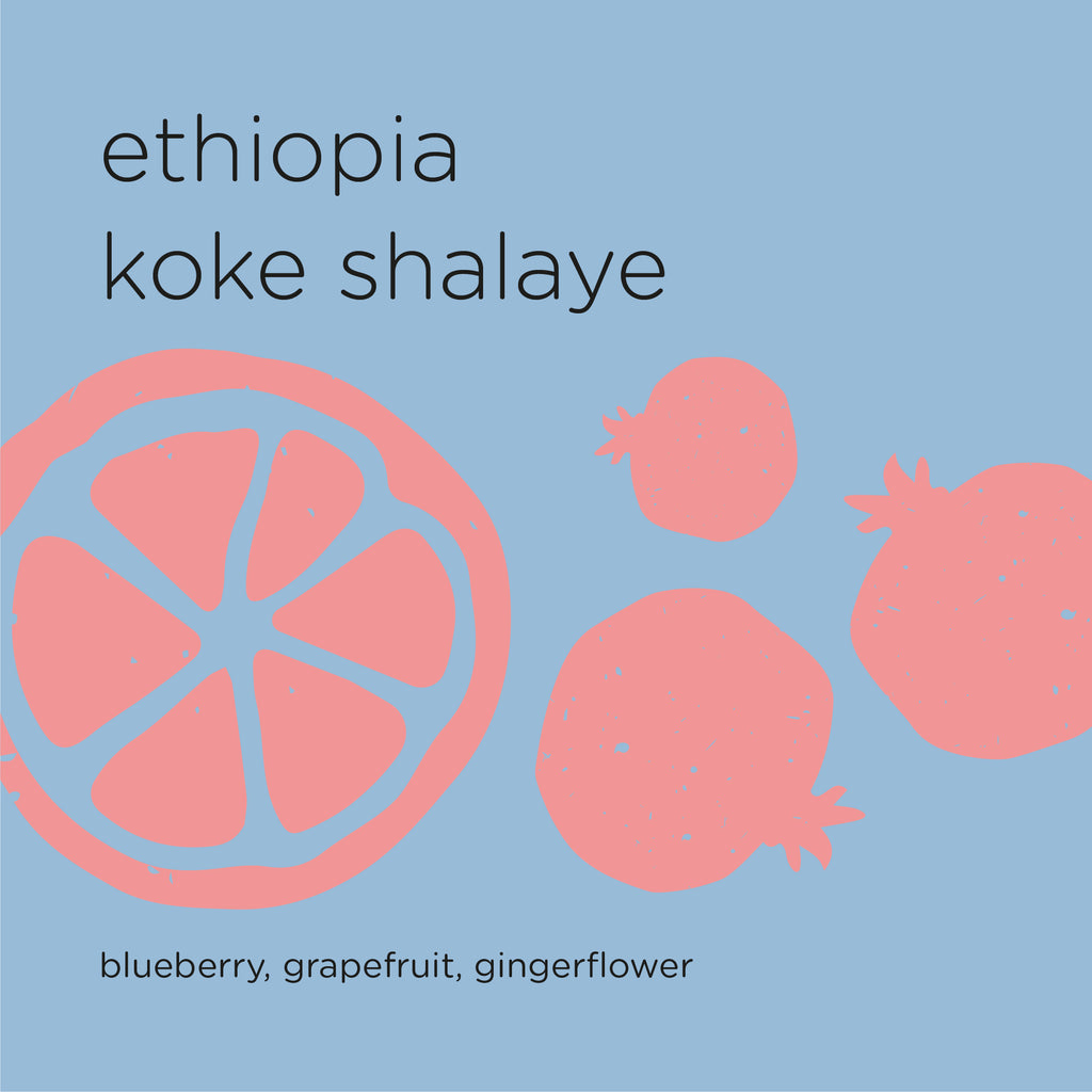 The Roast Things ETHIOPIA KOKE SHALAYE – specialty coffee beans Malaysia