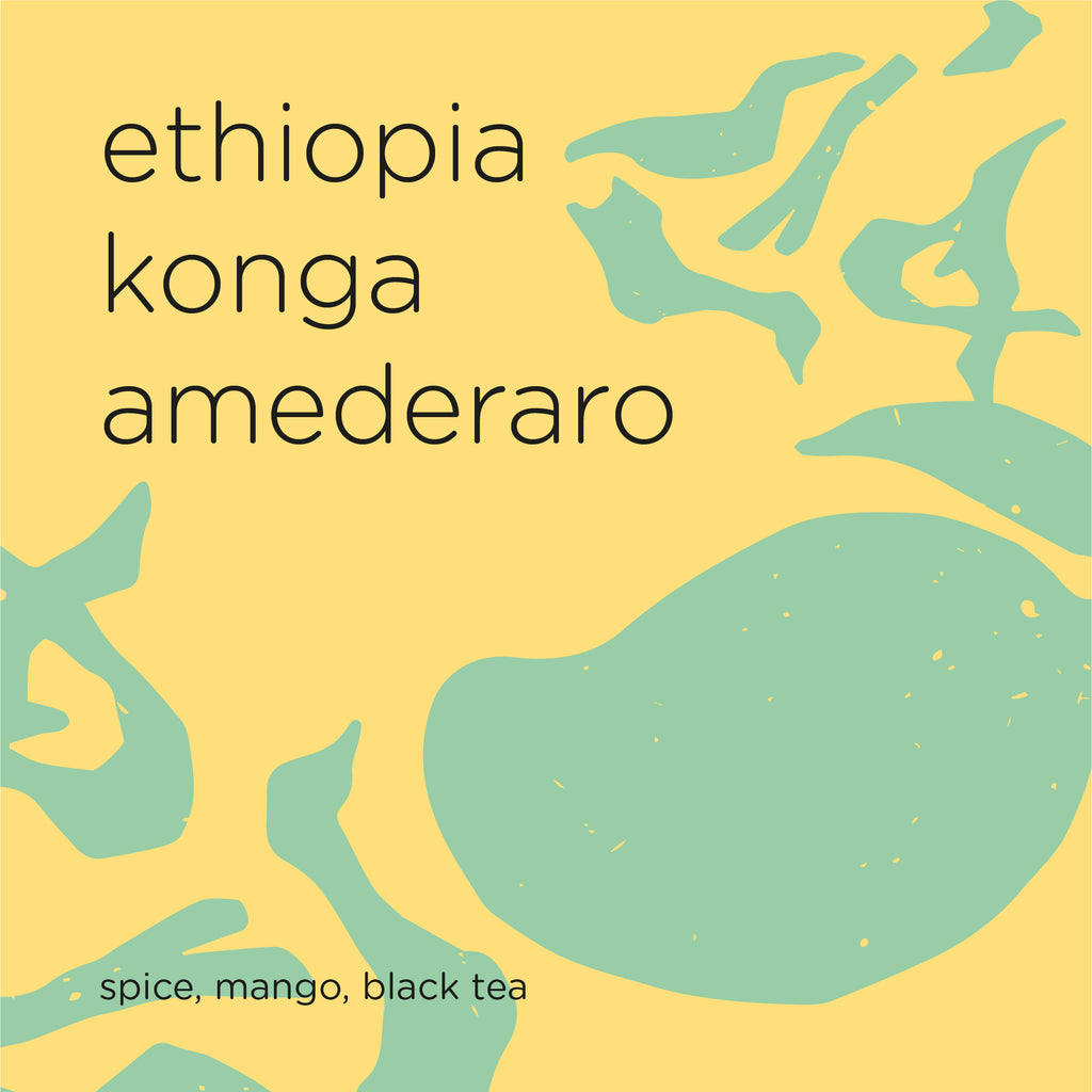The Roast Things ETHIOPIA KONGA AMEDERARO – specialty coffee beans Malaysia