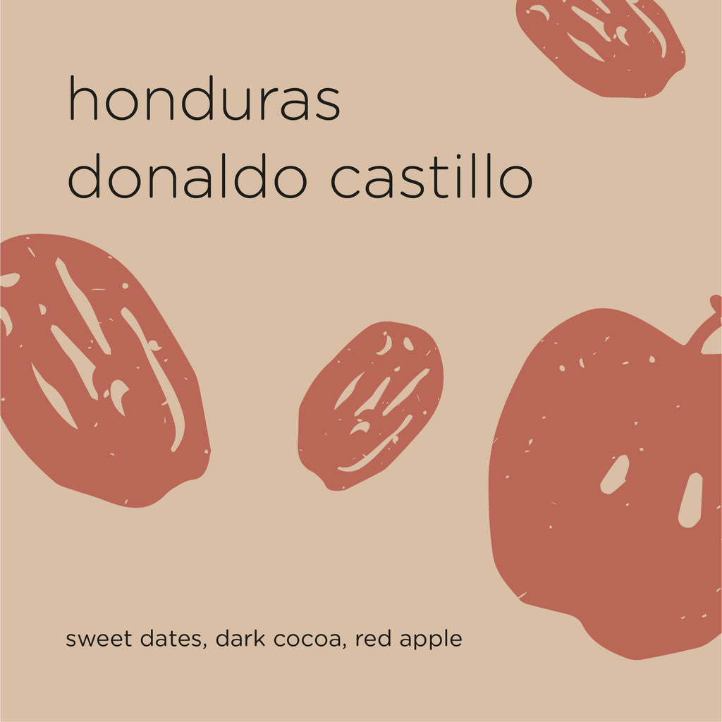 The Roast Things HONDURAS DONALDO CASTILLO – specialty coffee beans Malaysia