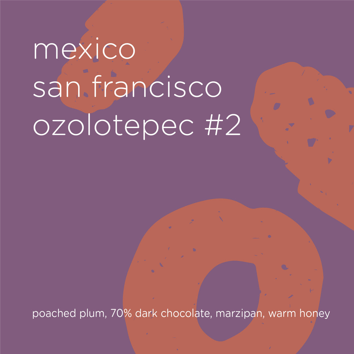 MEXICO SAN FRANCISCO OZOLOTEPEC #2