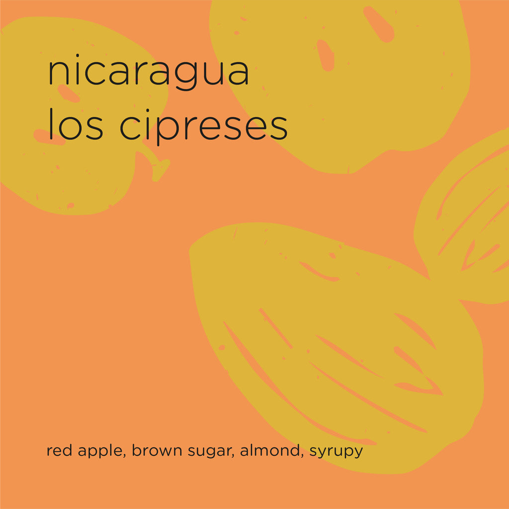 The Roast Things NICARAGUA LOS CIPRESES – specialty coffee beans Malaysia