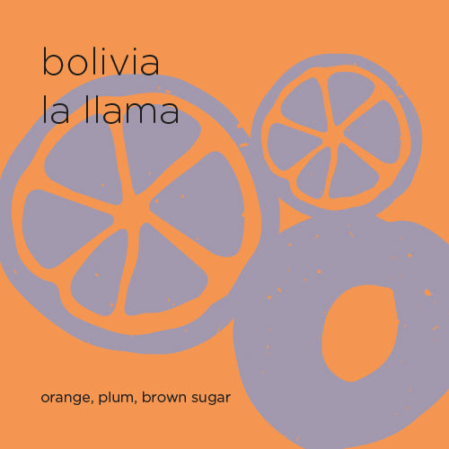 The Roast Things BOLIVIA LA LLAMA – specialty coffee beans Malaysia