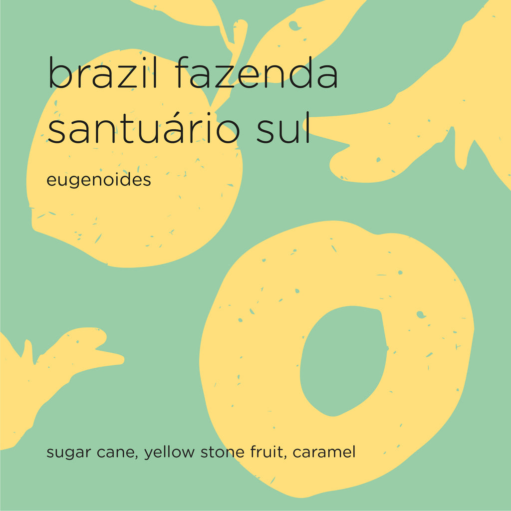 The Roast Things BRAZIL FAZENDA SANTUARIO SUL eugenoides – specialty coffee beans Malaysia