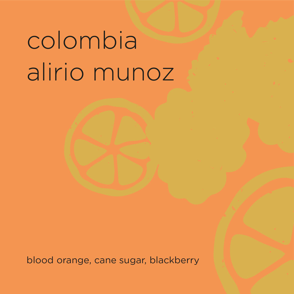 COLOMBIA ALIRIO MUNOZ