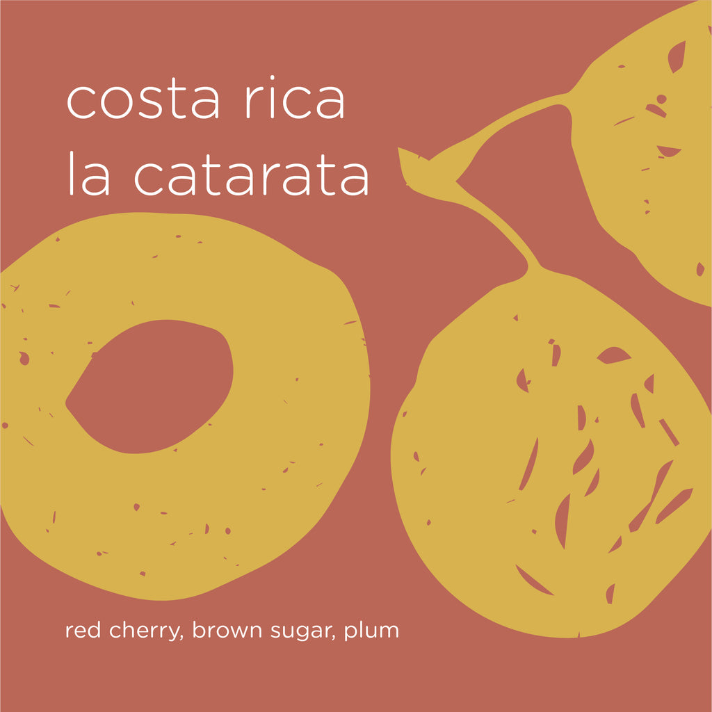 The Roast Things COSTA RICA LA CATARATA – specialty coffee beans Malaysia