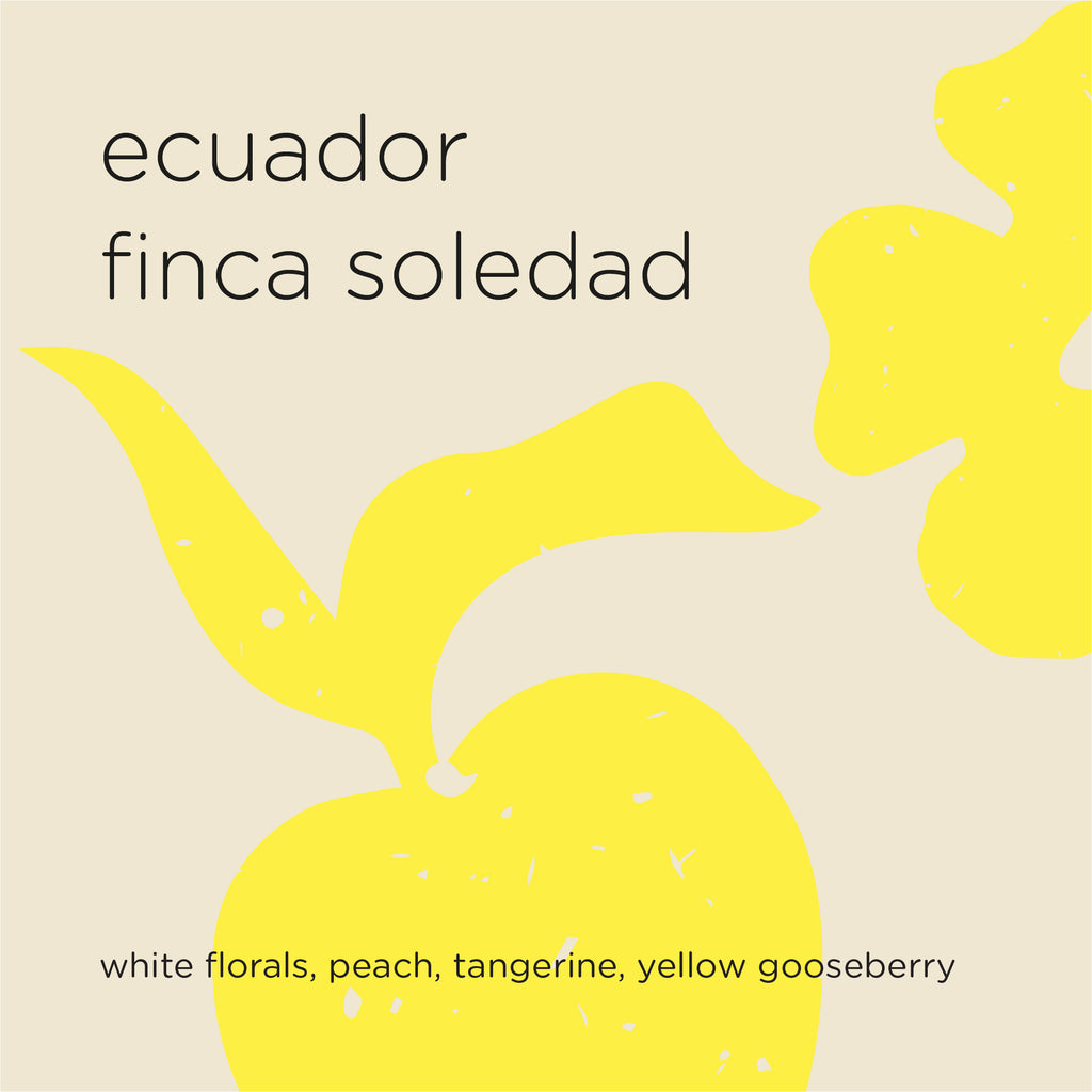 The Roast Things ECUADOR FINCA SOLEDAD – specialty coffee beans Malaysia