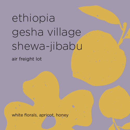 The Roast Things ETHIOPIA GESHA VILLAGE SHEWA-JIBABU – specialty coffee beans Malaysia
