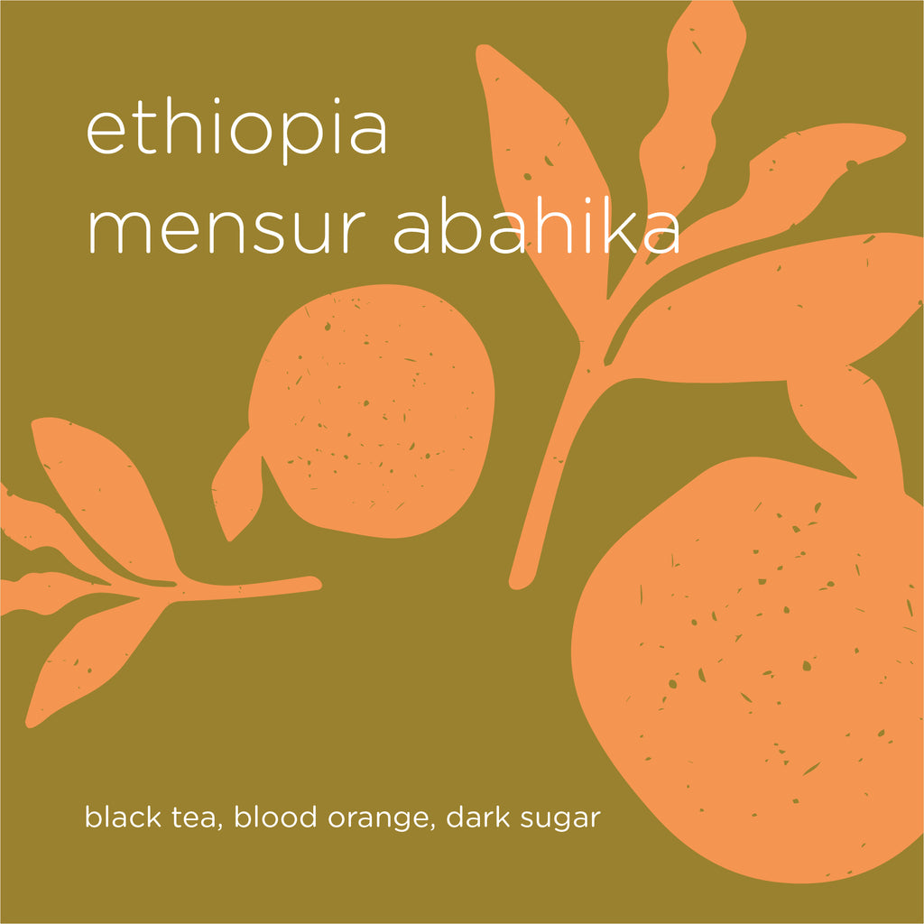 The Roast Things ETHIOPIA MENSUR ABAHIKA – specialty coffee beans Malaysia