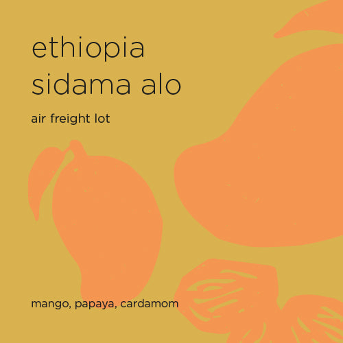 The Roast Things ETHIOPIA SIDAMO ALO – specialty coffee beans Malaysia