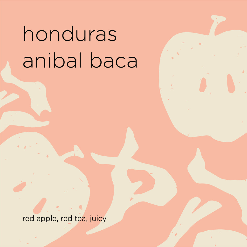 The Roast Things HONDURAS ANIBAL BACA – specialty coffee beans Malaysia