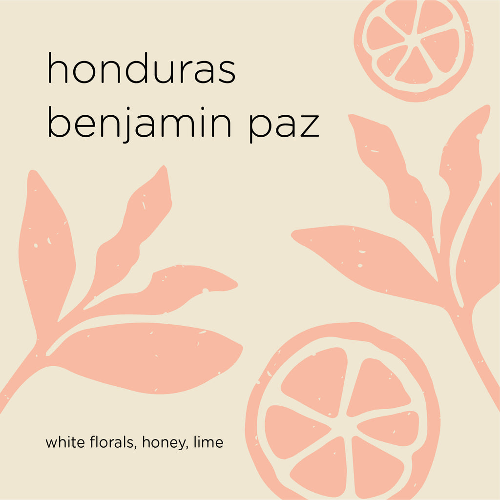 The Roast Things HONDURAS BENJAMIN PAZ heirloom – specialty coffee beans Malaysia