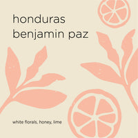 HONDURAS BENJAMIN PAZ heirloom