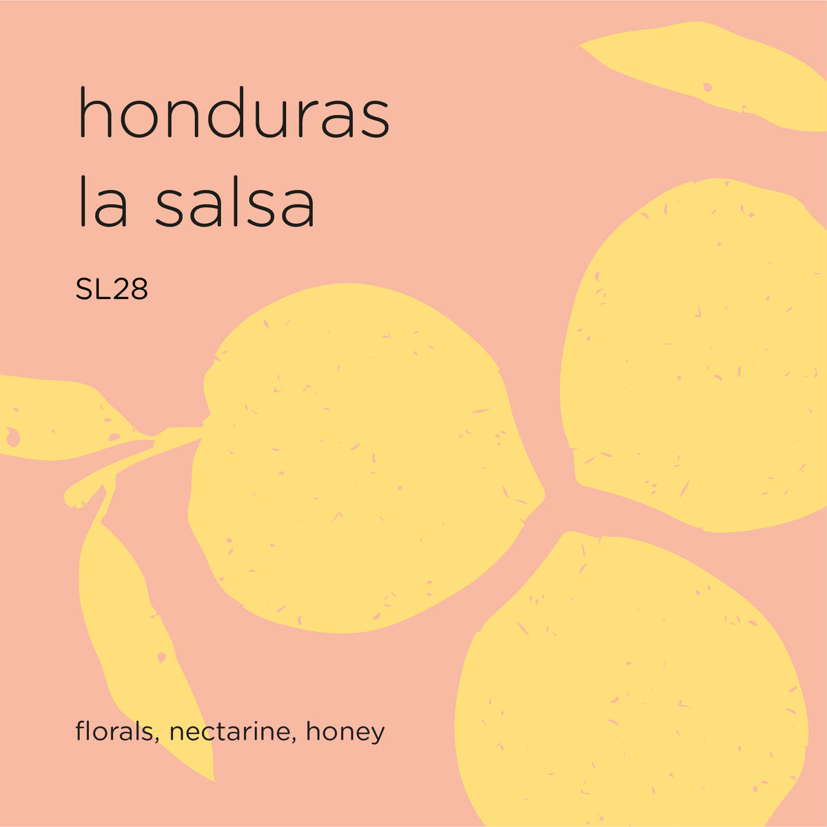 HONDURAS LA SALSA sl28