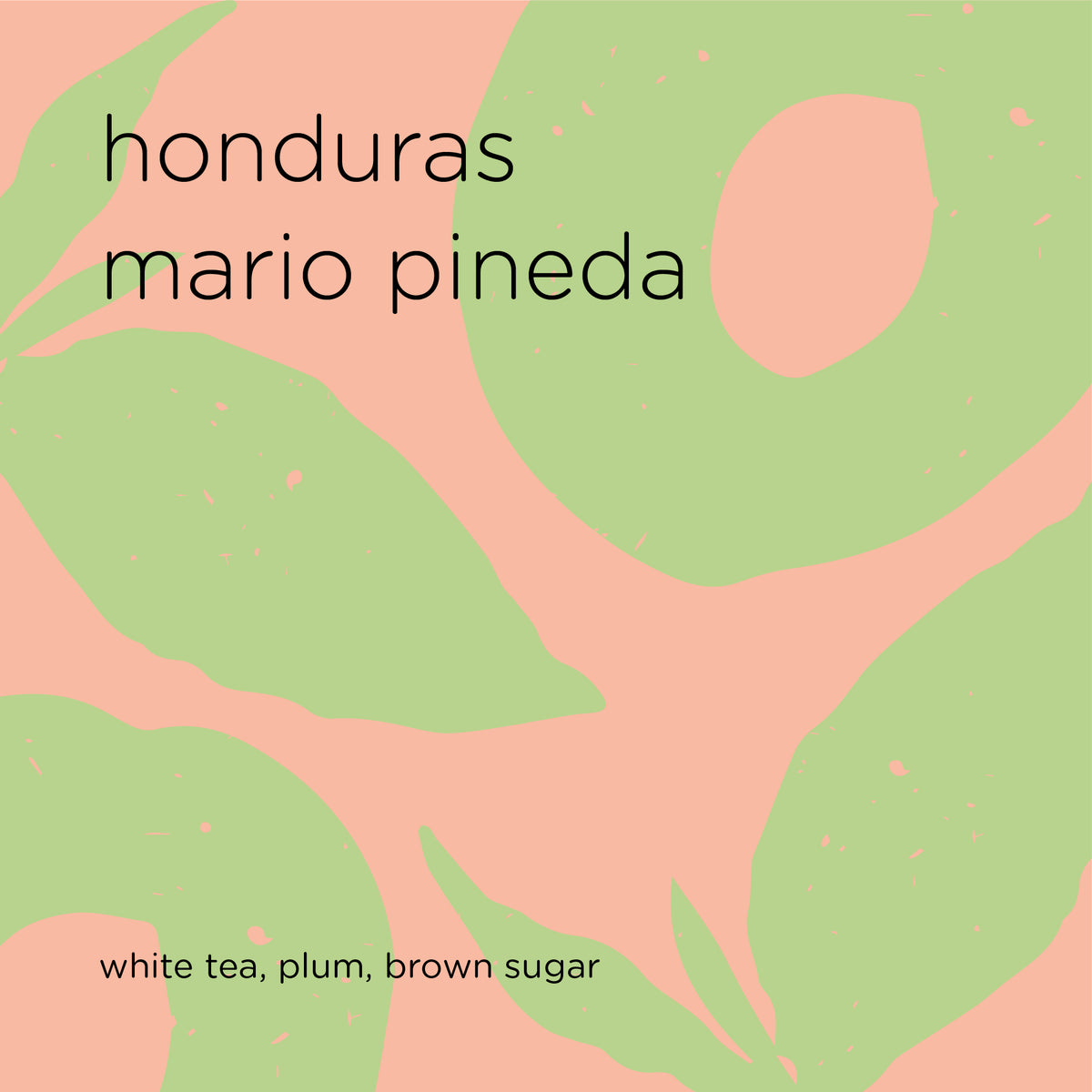 HONDURAS MARIO PINEDA