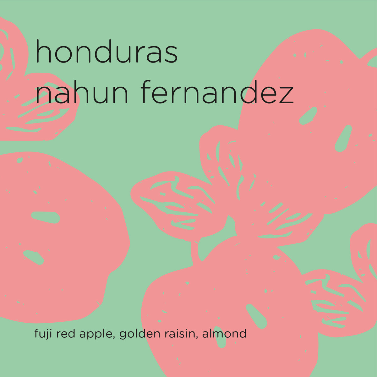 HONDURAS NAHUN FERNANDEZ