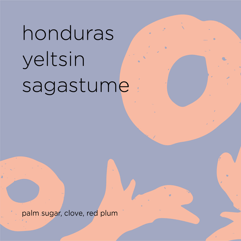 The Roast Things HONDURAS YELTSIN SAGASTUME – specialty coffee beans Malaysia