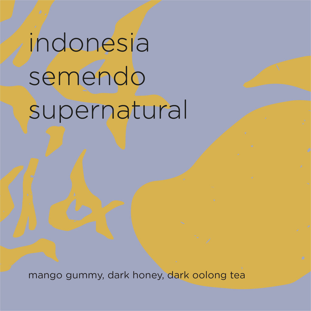 The Roast Things INDONESIA SEMENDO SUPERNATURAL – specialty coffee beans Malaysia