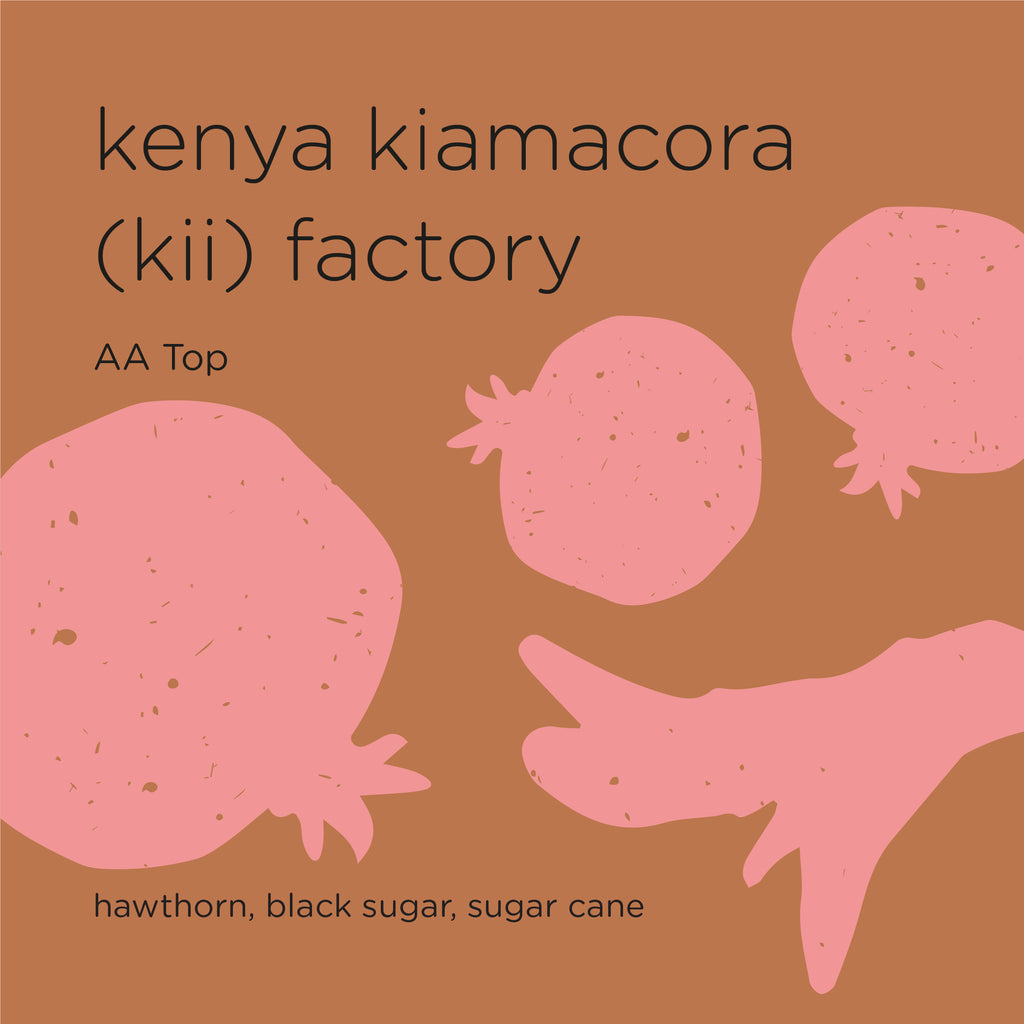 The Roast Things KENYA KIAMACORA (KII) FACTORY AA TOP – specialty coffee beans Malaysia