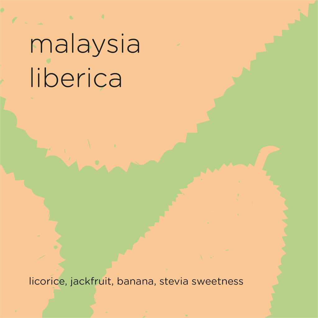 The Roast Things Malaysia Liberica – specialty coffee beans Malaysia