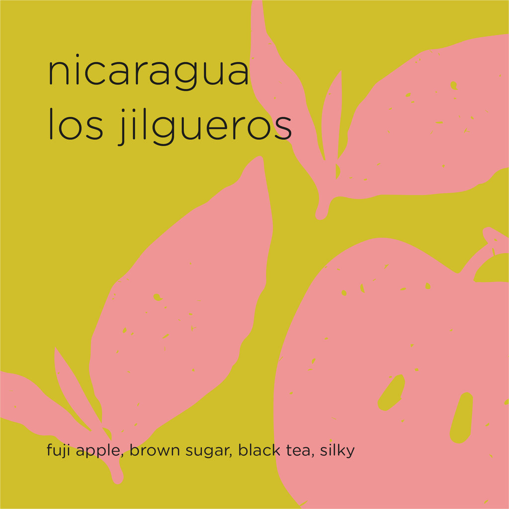 The Roast Things NICARAGUA LOS JILGUEROS – specialty coffee beans Malaysia