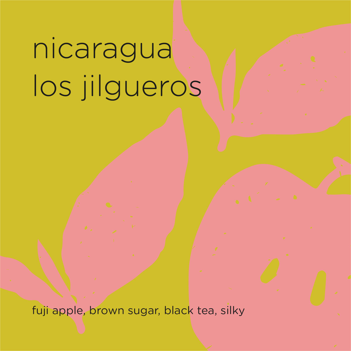 NICARAGUA LOS JILGUEROS