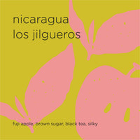 NICARAGUA LOS JILGUEROS