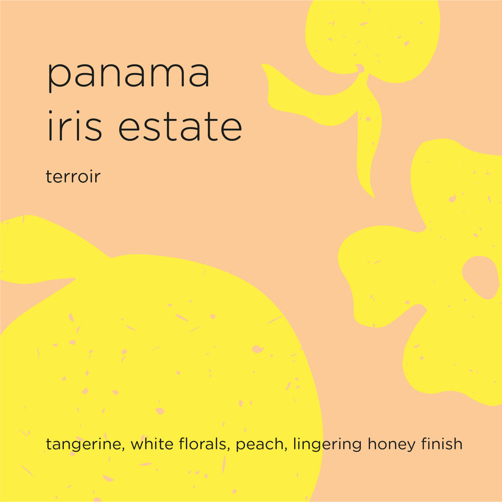 The Roast Things PANAMA IRIS ESTATE terroir – specialty coffee beans Malaysia