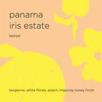 PANAMA IRIS ESTATE terroir
