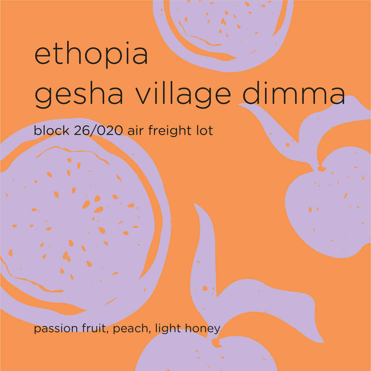 ETHIOPIA GESHA VILLAGE DIMMA block 26/020 air freight lot