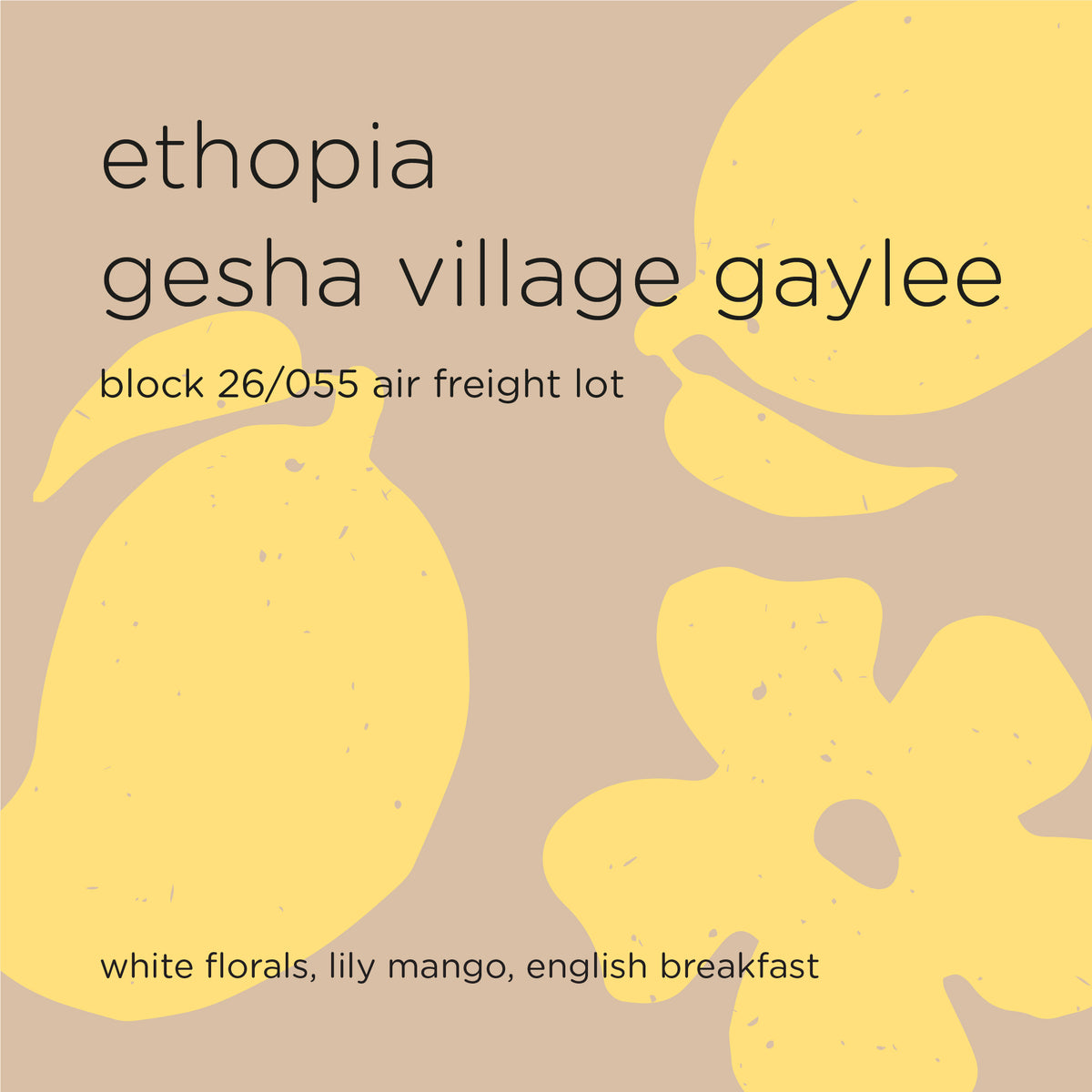 ETHIOPIA GESHA VILLAGE GAYLEE block 26/055 air freight lot